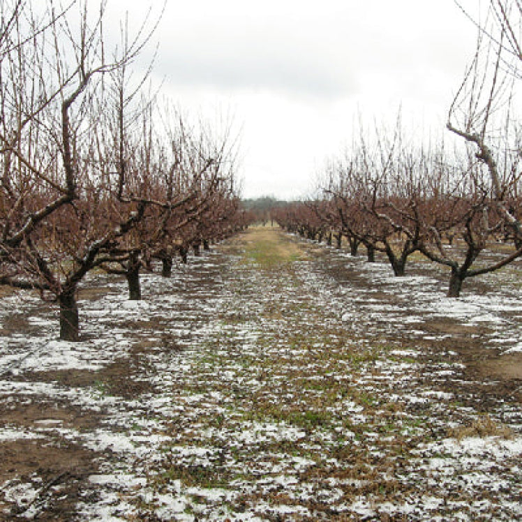 Let's Get Together! The Joy of Local Pickup