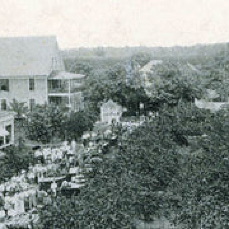 Why Peach Season is the Most Wonderful Time of the Year!