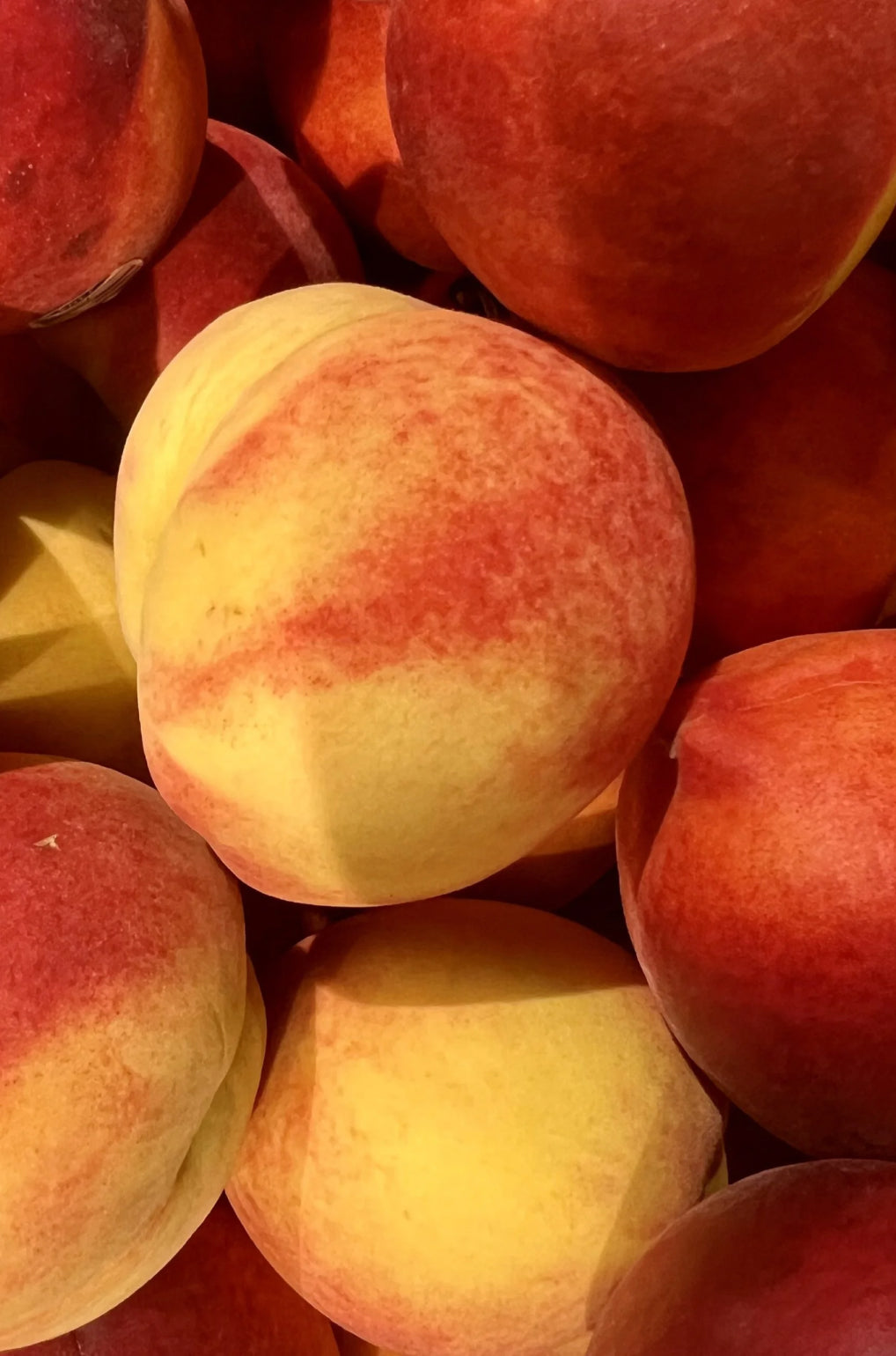 Stories from Our Community: The Peach Truck Family Album